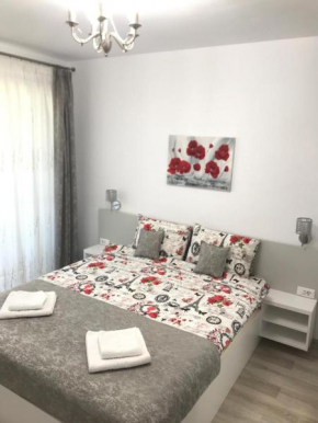 NEW Aparthotel Floresti